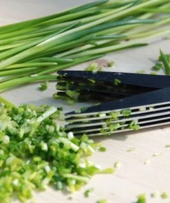 Esschert Design Ustensiles De Cuisine Et De Pâtisserie Ciseaux Herbes Aromatiques -Poêles et wok Soldes ciseaux herbes aromatiques 3