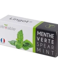 Ustensiles De Cuisine Et De Pâtisserie Lingot® Menthe Verte Compatible Potager Véritable® Et Exky®