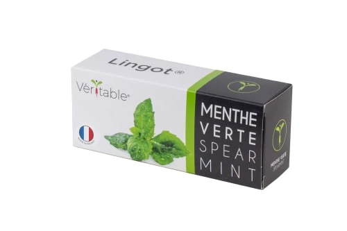 Ustensiles De Cuisine Et De Pâtisserie Lingot® Menthe Verte Compatible Potager Véritable® Et Exky® 3 Ustensiles De Cuisine Et De Pâtisserie Lingot® Menthe Verte Compatible Potager Véritable® Et Exky®
