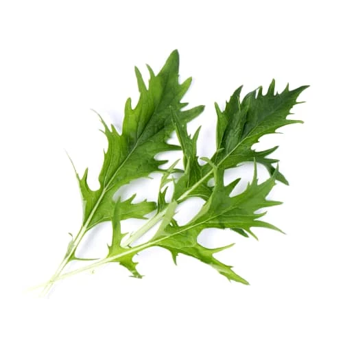 Ustensiles De Cuisine Et De Pâtisserie Lingot® Mizuna BIO Compatible Potager Véritable® Et Exky® 4 Ustensiles De Cuisine Et De Pâtisserie Lingot® Mizuna BIO Compatible Potager Véritable® Et Exky® – Image 2