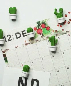 Qualy Design Ustensiles De Cuisine Et De Pâtisserie Magnets Cactus - Lot De 6 -Poêles et wok Soldes magnets cactus lot de 6 4