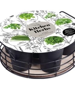 Florex Ustensiles De Cuisine Et De Pâtisserie Plateau 6 Herbes Aromatiques