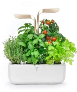 Ustensiles De Cuisine Et De Pâtisserie Potager D'intérieur Véritable® Connect Moonlight Gold