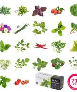 Ustensiles De Cuisine Et De Pâtisserie Potager D'intérieur Véritable® Smart Arctic White -Poêles et wok Soldes potager d interieur veritable smart arctic white 3