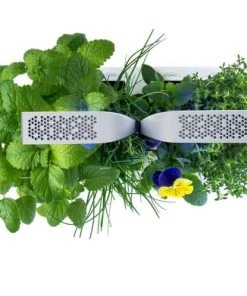 Ustensiles De Cuisine Et De Pâtisserie Potager D'intérieur Véritable® Smart Arctic White -Poêles et wok Soldes potager d interieur veritable smart arctic white 5